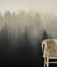 Carregar imagem no visualizador da galeria, Misty Pine Forest Wall Mural. Peaceful Foggy Morning Scenery. #6122
