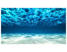 Load image into Gallery viewer, Underwater Wallpaper. View of Tropical Beach Wall Mural #6124