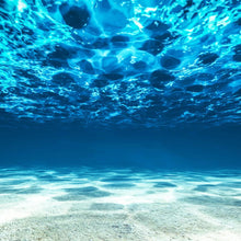 Load image into Gallery viewer, Underwater Wallpaper. View of Tropical Beach Wall Mural #6124