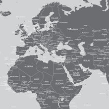 Carregar imagem no visualizador da galeria, World Map Wallpaper Mural (Grey). #6133