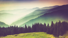 Carregar imagem no visualizador da galeria, Colorful Foggy Mountain Forest View Wall Mural | Peel and Stick Wallpaper. #6159