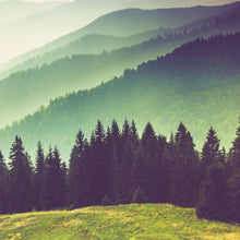 Carregar imagem no visualizador da galeria, Colorful Foggy Mountain Forest View Wall Mural | Peel and Stick Wallpaper. #6159