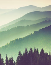 Carregar imagem no visualizador da galeria, Colorful Foggy Mountain Forest View Wall Mural | Peel and Stick Wallpaper. #6159