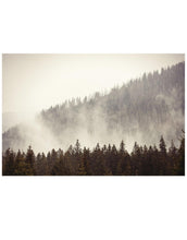 Carregar imagem no visualizador da galeria, Foggy Misty Forest Tree Over Mountain Wall Mural. #6171
