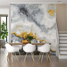 Carregar imagem no visualizador da galeria, Gray and Gold Marble Stone Quartz Mural Wall Sticker #6190