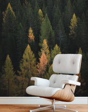 Load image into Gallery viewer, Enchanted Forest Tree Woodland Peel and Stick Wallpaper | Removable Wall Mural #6203