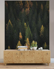 Load image into Gallery viewer, Enchanted Forest Tree Woodland Peel and Stick Wallpaper | Removable Wall Mural #6203