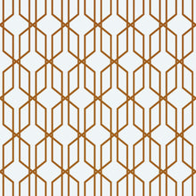 Carregar imagem no visualizador da galeria, Modern Geometric Shape 3D Hexagon Bronze Lines Peel and Stick Wallpaper | Removable Wall Mural #6213