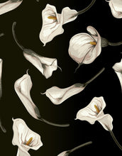 Load image into Gallery viewer, Elegant Rustic Tulip Flower Peel and Stick Wallpaper | Removable Wall Mural #6216