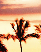Carregar imagem no visualizador da galeria, Tropical Sunset Palm Tree Paradise Wall Mural. #6236