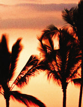 Carregar imagem no visualizador da galeria, Tropical Sunset Palm Tree Paradise Wall Mural. #6236