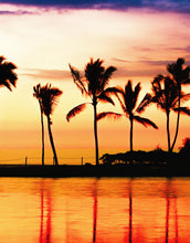 Carregar imagem no visualizador da galeria, Tropical Sunset Palm Tree Paradise Wall Mural. #6236