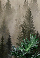 Carregar imagem no visualizador da galeria, Misty Pine Tree Forest Landscape Wallpaper. Peel and Stick Wall Mural. Self Adhesive Nursery Wall Decor. #6237