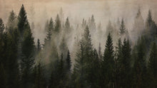 Carregar imagem no visualizador da galeria, Misty Pine Tree Forest Landscape Wallpaper. Peel and Stick Wall Mural. Self Adhesive Nursery Wall Decor. #6237