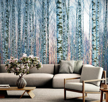 Carregar imagem no visualizador da galeria, White Birch Tree Forest Wall Mural Wallpaper. Sunset Scenery. #6246