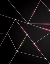 Carregar imagem no visualizador da galeria, Luxury Polygonal Triangle Pattern Lines Shape. Peel and Stick Wall Mural. #6251