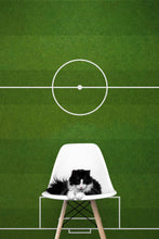 Carregar imagem no visualizador da galeria, Soccer Field Wallpaper. Football Pitch Wallpaper. Peel and Stick Wall Mural. Soccer Stadium Wallpaper. #6465