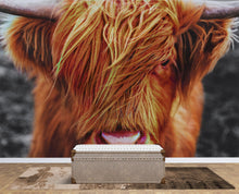 Carregar imagem no visualizador da galeria, Highland Cow Cattle Head Wall Mural - Farmhouse Charm for Your Home. #6279