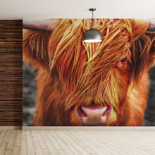 Carregar imagem no visualizador da galeria, Highland Cow Cattle Head Wall Mural - Farmhouse Charm for Your Home. #6279