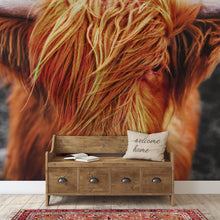 Carregar imagem no visualizador da galeria, Highland Cow Cattle Head Wall Mural - Farmhouse Charm for Your Home. #6279