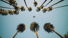 Carregar imagem no visualizador da galeria, Southern California Palm Trees and Airplane Wallpaper Mural. #6283