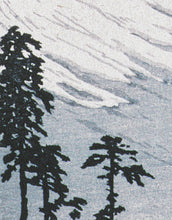 Carregar imagem no visualizador da galeria, Mount Fuji - Katsuyama Neighborhood by Hiroaki Takahashi Artwork Wall Mural Print. #6311