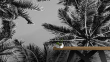 Carregar imagem no visualizador da galeria, Black and White Tropical Palm Tree Mural. Vintage Summer Vibe. #6315