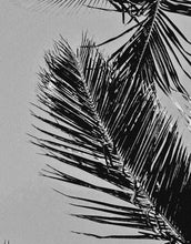 Carregar imagem no visualizador da galeria, Black and White Tropical Palm Tree Mural. Vintage Summer Vibe. #6315