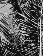 Carregar imagem no visualizador da galeria, Black and White Tropical Palm Tree Mural. Vintage Summer Vibe. #6315