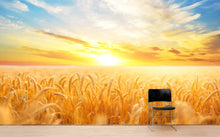 Carregar imagem no visualizador da galeria, Sunset Sunrise over Farmland Wheat Field Wall Mural. Peel and Stick Wall Paper. #6323
