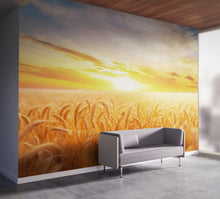 Carregar imagem no visualizador da galeria, Sunset Sunrise over Farmland Wheat Field Wall Mural. Peel and Stick Wall Paper. #6323