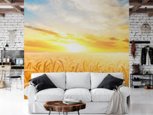 Carregar imagem no visualizador da galeria, Sunset Sunrise over Farmland Wheat Field Wall Mural. Peel and Stick Wall Paper. #6323