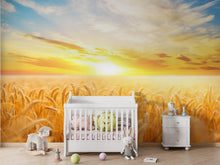 Carregar imagem no visualizador da galeria, Sunset Sunrise over Farmland Wheat Field Wall Mural. Peel and Stick Wall Paper. #6323