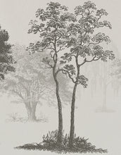 Carregar imagem no visualizador da galeria, Vintage Forest Trees Wall Mural. Monochrome Abstract Sketched Art Design. Peel and Stick Wallpaper | Removable Wall Mural. #6329