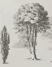 Carregar imagem no visualizador da galeria, Vintage Forest Trees Wall Mural. Monochrome Abstract Sketched Art Design. Peel and Stick Wallpaper | Removable Wall Mural. #6329