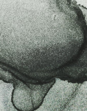 Carregar imagem no visualizador da galeria, Abstract Black and White Fluid Alcohol Ink Painting Wall Mural. Peel and Stick Wallpaper. #6341