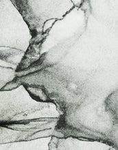 Carregar imagem no visualizador da galeria, Abstract Black and White Fluid Alcohol Ink Painting Wall Mural. Peel and Stick Wallpaper. #6341