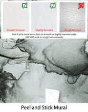 Carregar imagem no visualizador da galeria, Abstract Black and White Fluid Alcohol Ink Painting Wall Mural. Peel and Stick Wallpaper. #6341