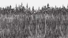 Carregar imagem no visualizador da galeria, Forest Trees Trunks Grunge Illustration Wall Mural. Peel and Stick Wallpaper. Abstract Lines Silhouette Outdoors Scenery. #6345