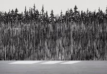 Carregar imagem no visualizador da galeria, Forest Trees Trunks Grunge Illustration Wall Mural. Peel and Stick Wallpaper. Abstract Lines Silhouette Outdoors Scenery. #6345