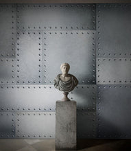 Carregar imagem no visualizador da galeria, Stainless Steel Metal Grunge Design Wall Mural. Industrial Theme Peel and Stick Wallpaper. #6350