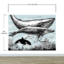 Load image into Gallery viewer, Whale, Dolphin, Killer Whale Wall Mural. Underwater Sea Life Drawing Design. Peel and Stick Wall Mural. #6354