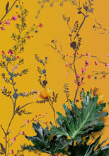 Load image into Gallery viewer, Botanical Flower Garden With Yellow Orange Background Wall Mural. Blossom Flower Decor. #6355