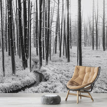 Carregar imagem no visualizador da galeria, Black and White Forest Landscape Wall Mural. Peel and Stick Wallpaper. #6365