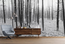 Carregar imagem no visualizador da galeria, Black and White Forest Landscape Wall Mural. Peel and Stick Wallpaper. #6365