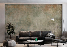 Carregar imagem no visualizador da galeria, Rustic Concrete Wallpaper Wall Decor. Modern Minimalistic Self Adhesive Peel and Stick Wall Mural. #6367