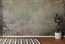 Carregar imagem no visualizador da galeria, Rustic Concrete Wallpaper Wall Decor. Modern Minimalistic Self Adhesive Peel and Stick Wall Mural. #6367