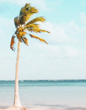 Carregar imagem no visualizador da galeria, Palm Tree on Beach Coastline Wall Mural. Tropical Theme Peel and Stick Wallpaper Decor. #6401