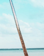 Carregar imagem no visualizador da galeria, Palm Tree on Beach Coastline Wall Mural. Tropical Theme Peel and Stick Wallpaper Decor. #6401