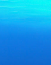 Carregar imagem no visualizador da galeria, Jellyfish Floating Underwater Wall Mural. Deep Blue Ocean Peel and Stick Wallpaper. #6405